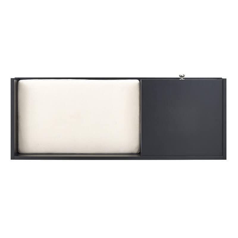 THE WOODEN CITY Solid Wood 1 Seater Bench/Sofa with Storage for Home Furniture- (Black)|TWC-F52