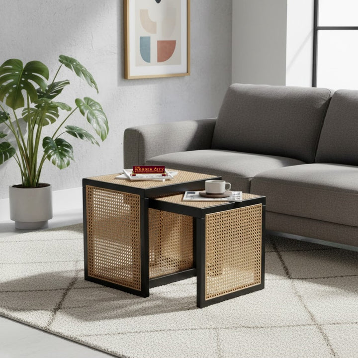THE WOODEN CITY Nesting Side Table Set with Natural Cane Webbing, Sheesham Wood, Black Finish, Modern Coffee Table for Living Room, 2 Pieces